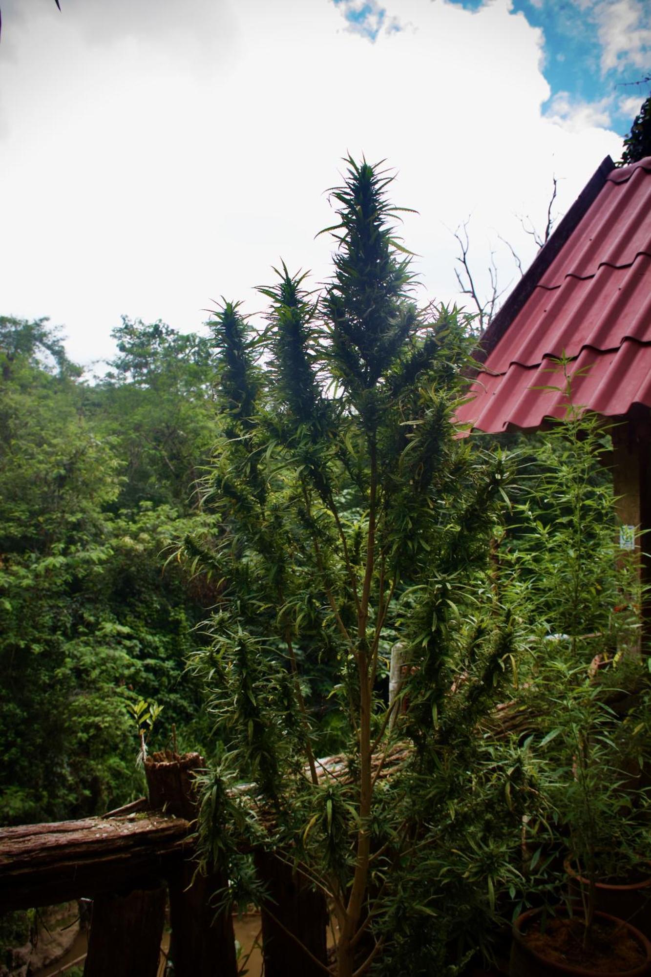 Aerie Lodge Pang Mapha المظهر الخارجي الصورة