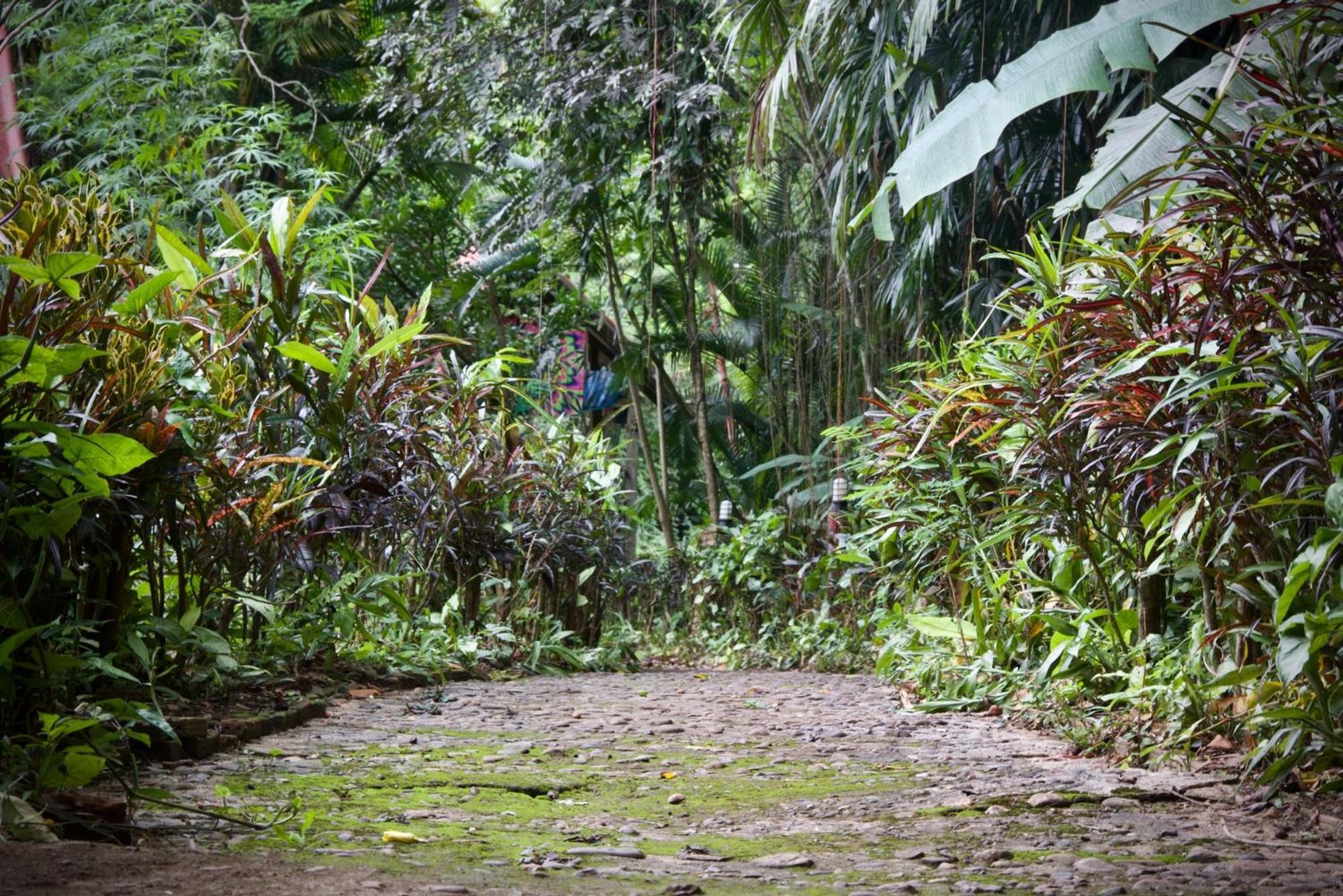 Aerie Lodge Pang Mapha المظهر الخارجي الصورة